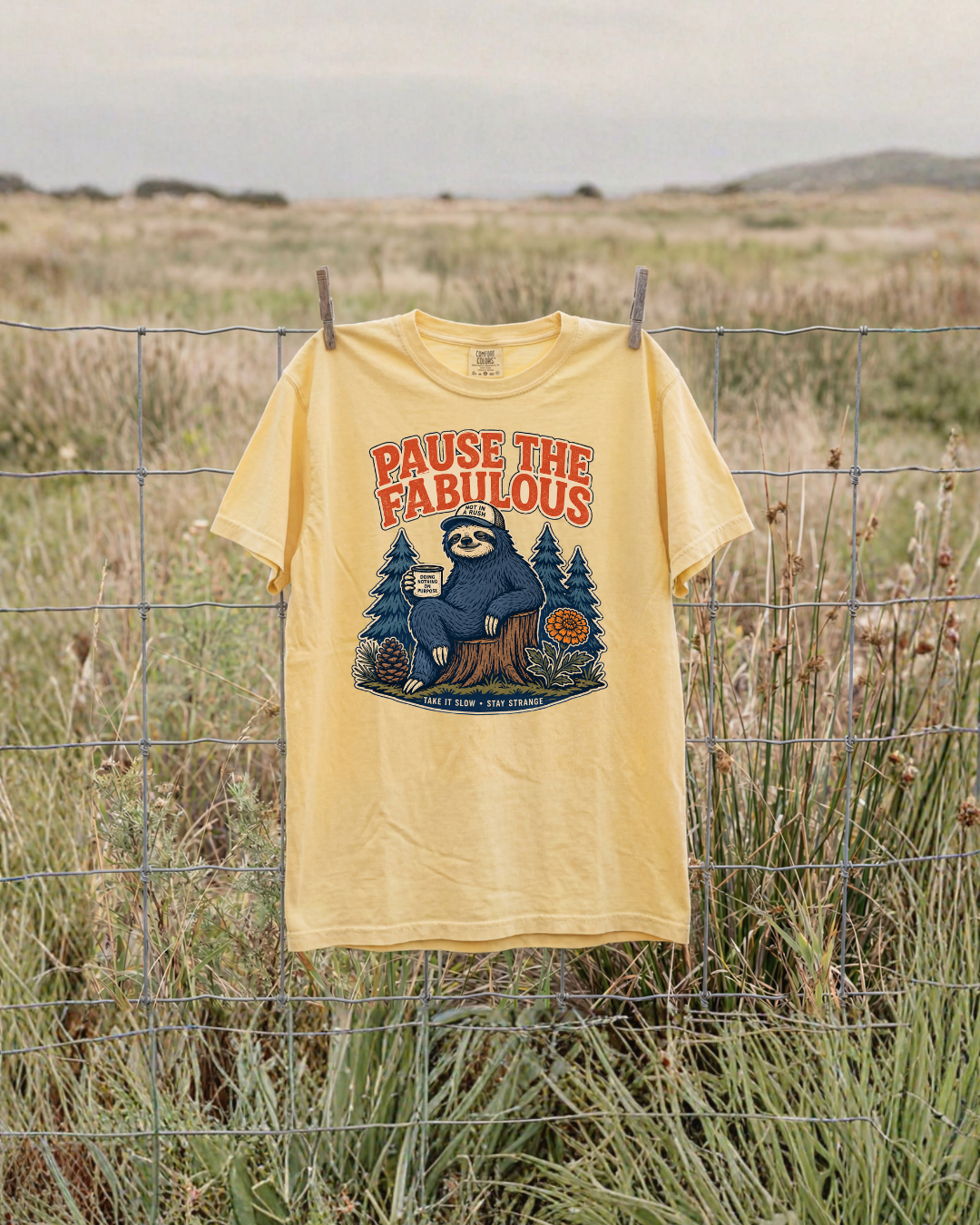 Pause The Fabulous Sloth T-Shirt