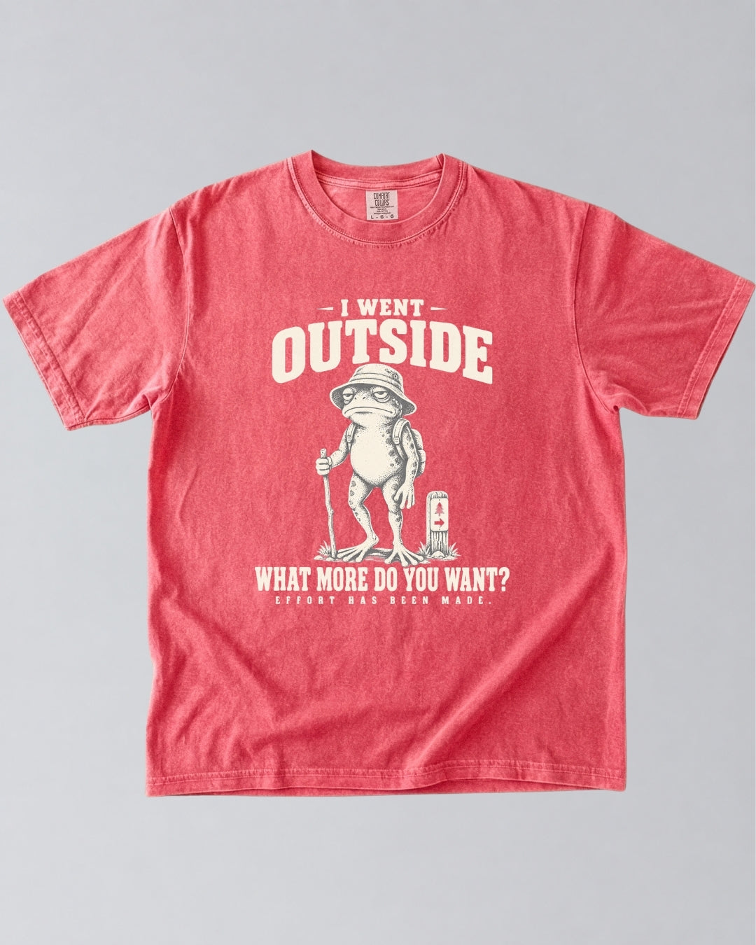 I Went Outside T-Shirt